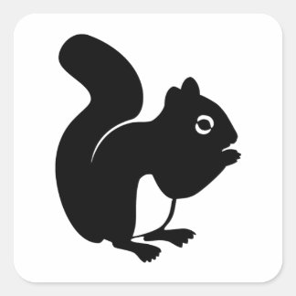Cute Squirrel Square Sticker