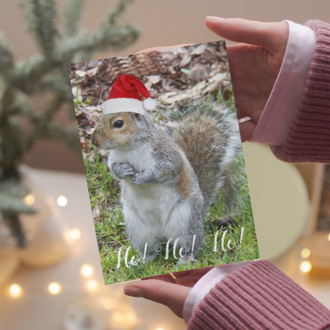 Cute Squirrel Wearing Santa Cap Holiday Card (In Situ)