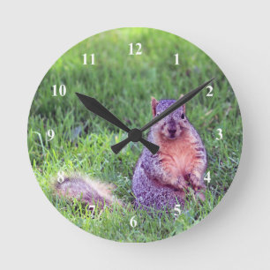 Cute Squirrel Wildlife Photo Round Clock