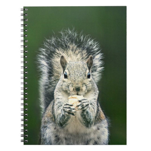Cute Squirrel Wildlife Photography  Notebook (Front)