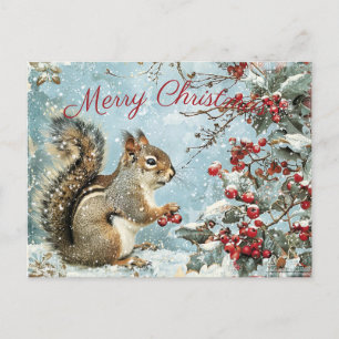 Cute Squirrel Winter Christmas Holiday Postcard