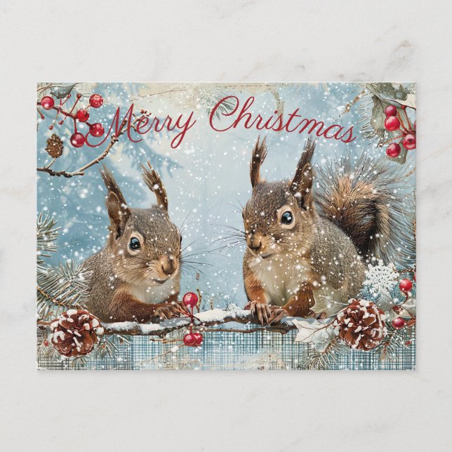 Cute Squirrel Winter Christmas Holiday Postcard (Front)