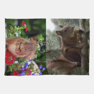 Cute Squirrels Kitchen Towel