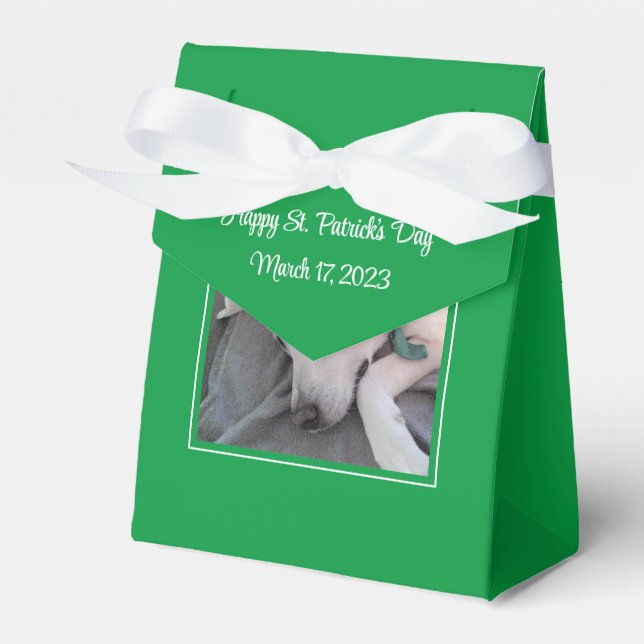 Cute St. Patrick's Day Green Lazy Dog Favor Box (Front Side)
