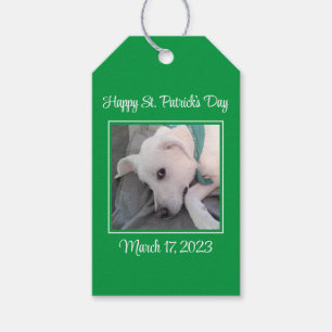 Cute St. Patrick's Day Green Lazy Dog  Gift Tags