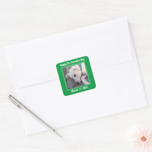 Cute St. Patrick's Day Green Lazy Dog Square Sticker