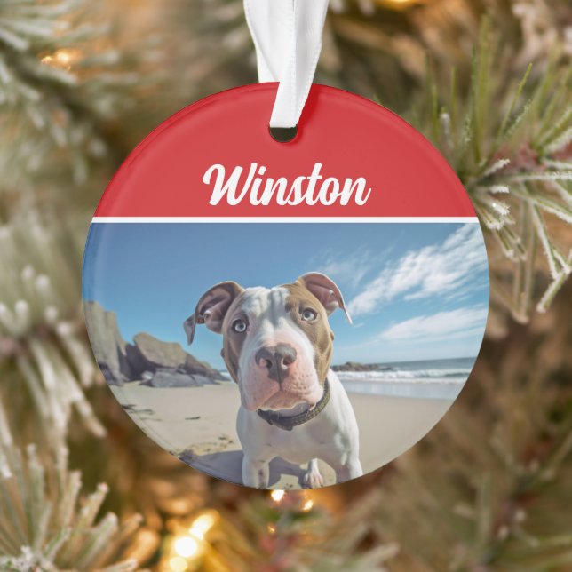 Cute Staffordshire Chien de Noël Photo (Arbre)