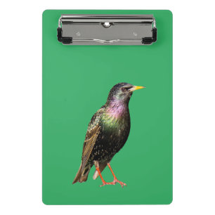 Cute Starling Bird Mini Clipboard