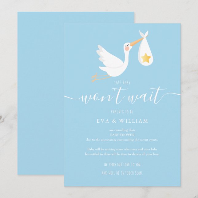 Cute Stork Baby Shower Sprinkle Blue Update Card (Front/Back)