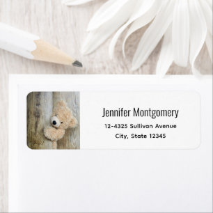 Cute Stuffed Bear Rustic Wooden Wall