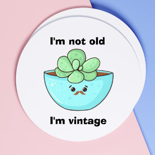 Cute Succulent Plant in Kawaii Style Classic Round Sticker