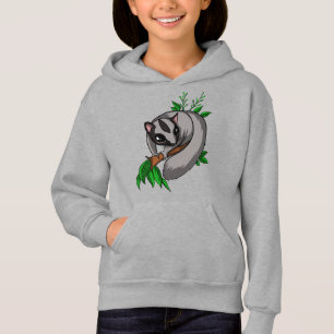 Cute Sugar Glider Pet Animal