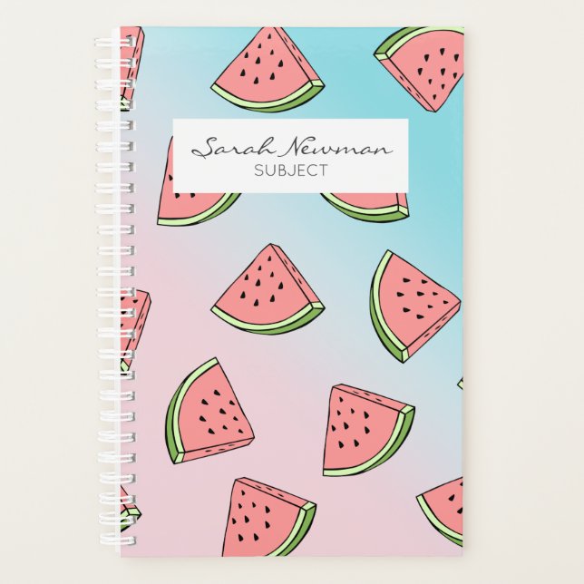 Cute summer watermelon pattern pastel pink & blue planner (Front)
