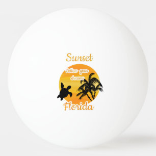 Cute Sunset in Florida   Ping Pong Ball