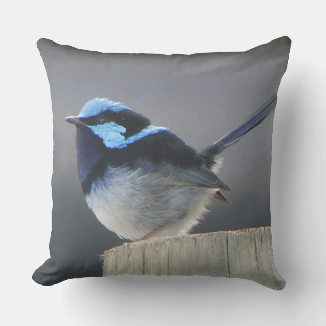Cute Superb Fairywren Cushion (Front)
