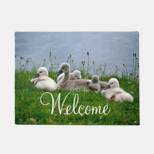 Cute Swan Babies Welcome Doormat