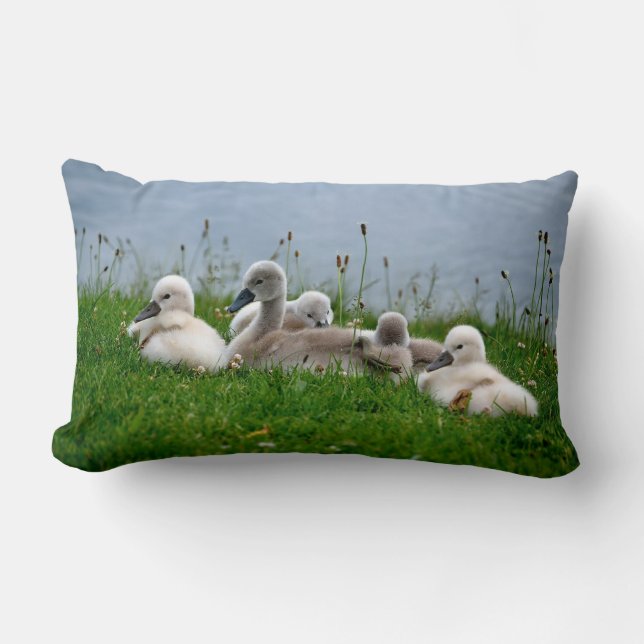 Cute Swan Cygnets - Pillow (Front)