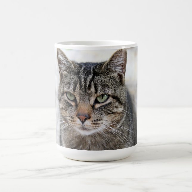 Cute , sweet, adorable,  cat  Mug (Center)