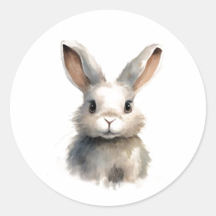 Cute Sweet Bunny Rabbit  Classic Round Sticker