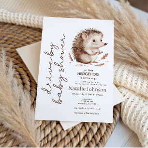 Cute Sweet Little Hedgehog Drive By Baby Shower Invitation