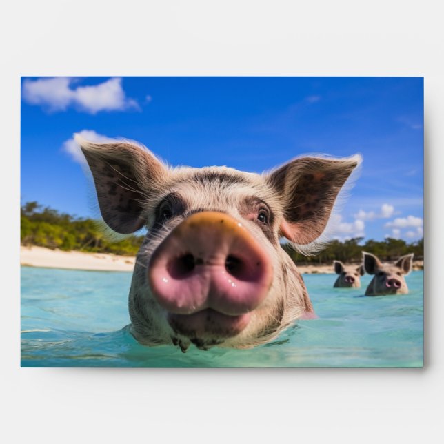 Cute Swimming Pig Exuma Bahamas Envelope (Front)
