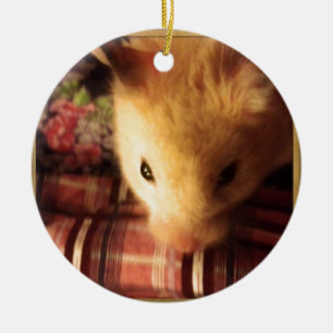 Cute Syrian Hamster Ceramic Ornament