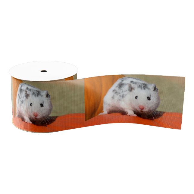 Cute Syrian Hamster White Black Spotted Funny Pet Grosgrain Ribbon (Spool)