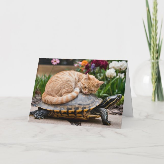Cute Tabby and Turtle Greeting Card (Front)