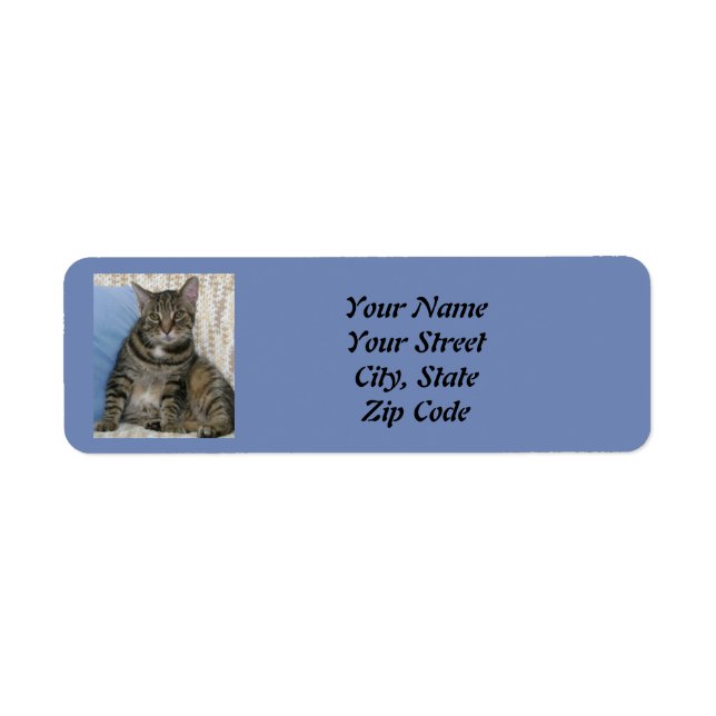 Cute Tabby Cat Blue  (Front)