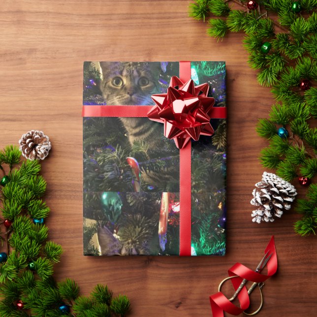Cute Tabby Cat in Christmas Tree Wrapping Paper (Holiday Gift)