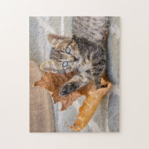 Cute Tabby Cat Kitten Playing With a Leaf -