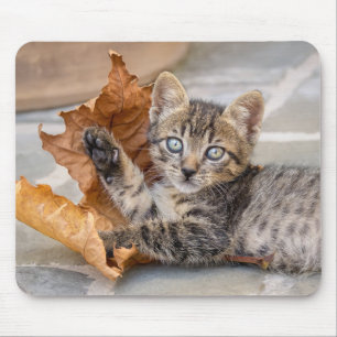 Cute Tabby Cat Kitten Playing With a Leaf Mouse Pad