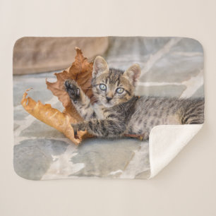 Cute Tabby Cat Kitten Playing With a Leaf - Sherpa Blanket