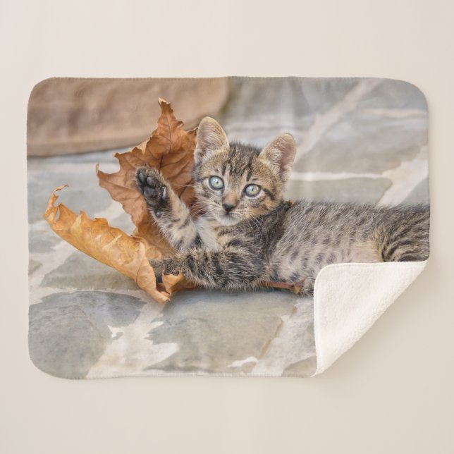 Cute Tabby Cat Kitten Playing With a Leaf - Sherpa Blanket (Front (Horizontal))