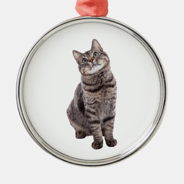 Cute Tabby Cat Metal Ornament (Front)