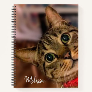 Cute Tabby Cat Personalized Notebook
