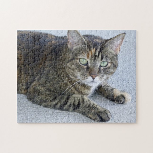 Cute Tabby Cat Photo Jigsaw Puzzle (Horizontal)