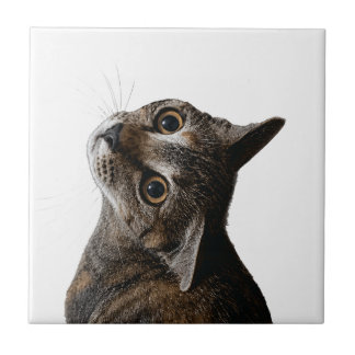 Cute Tabby Cat Portrait Ceramic Tile Decorative Ar