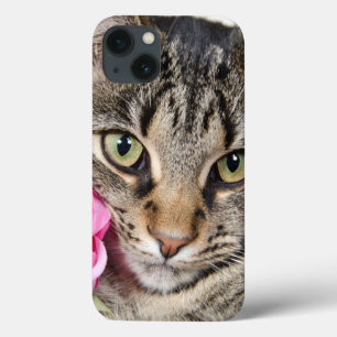 Cute Tabby Cat With Rose iPhone 13 Case