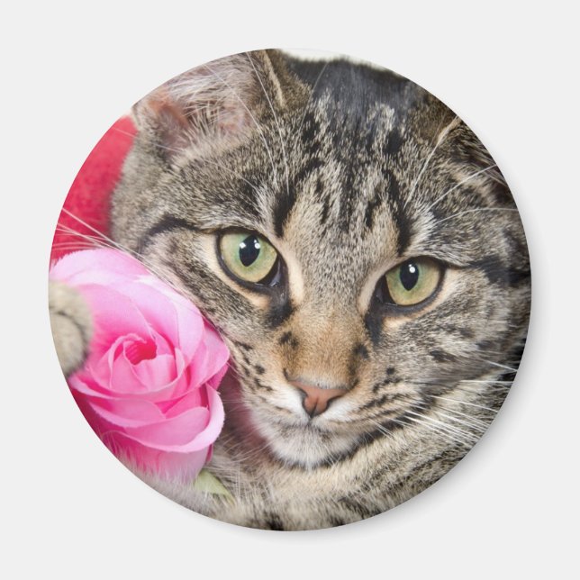Cute Tabby Cat With Rose Magnet (Front)