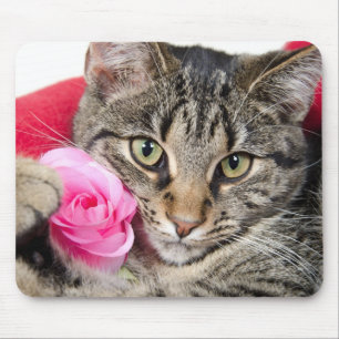 Cute Tabby Cat With Rose Mouse Pad