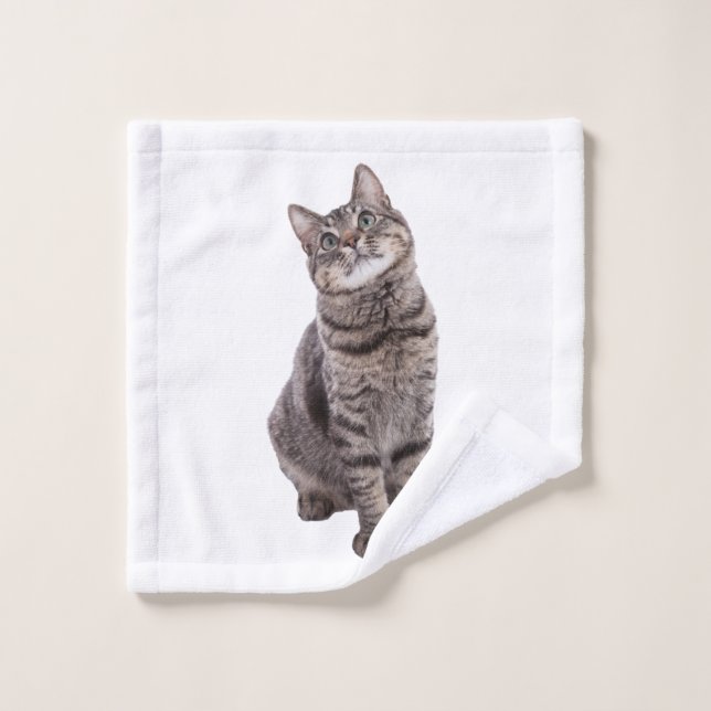 Cute tabby Chat (Gant de toilette)