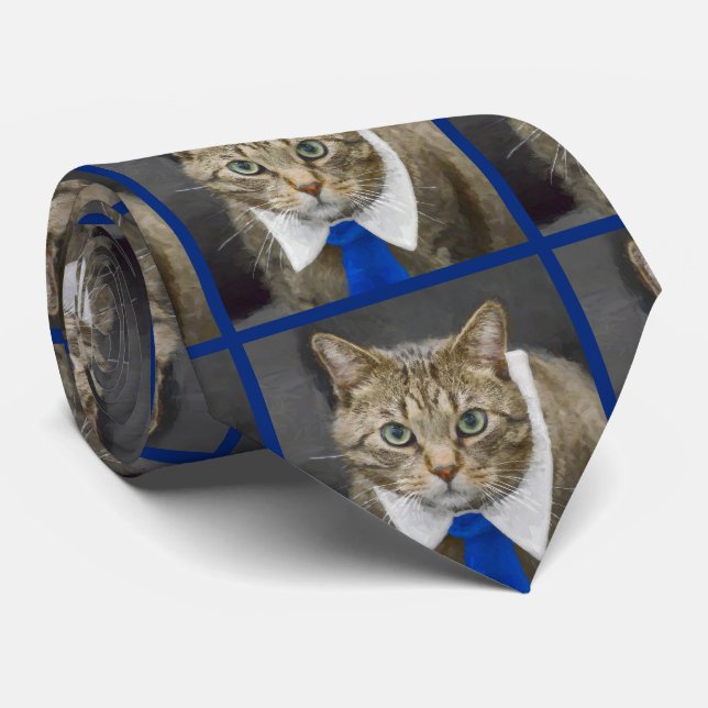 Cute Tabby Chat Brown Porte Cravate bleue (Roulé)