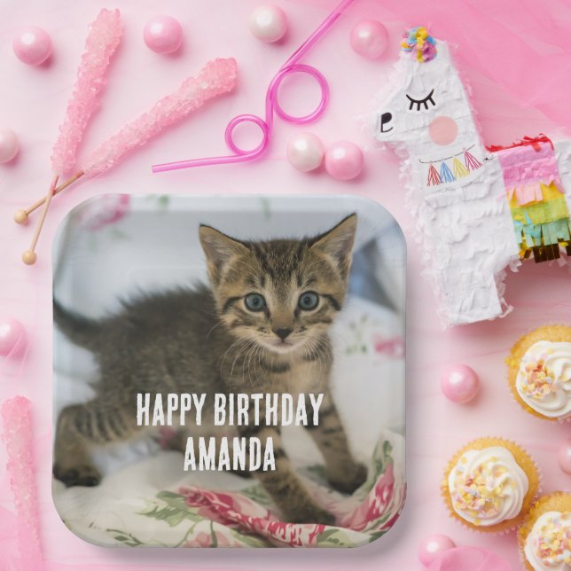 Cute Tabby Kitten Looking Surprised on Birthday Paper Plate (Party)
