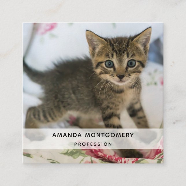 Cute Tabby Kitten Looking Surprised Square Business Card (Front)