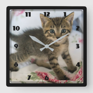 Cute Tabby Kitten Looking Surprised Square Wall Clock