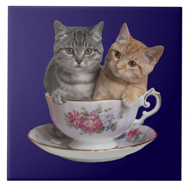 Cute Tabby Kitten Teacup Decorative Tile (Front)