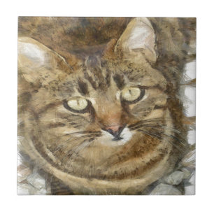 Cute Tabby Looking Up Pencil Sketch Tile