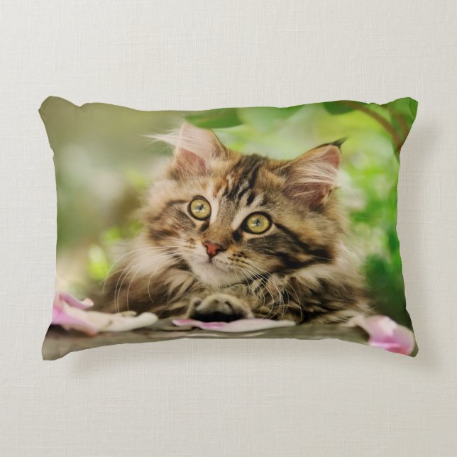 Cute Tabby Maine Coon Cat Kitten Fluffy Head Photo Accent Pillow (Front)