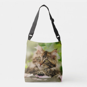 Cute Tabby Maine Coon Cat Kitten Fluffy Head Photo Crossbody Bag